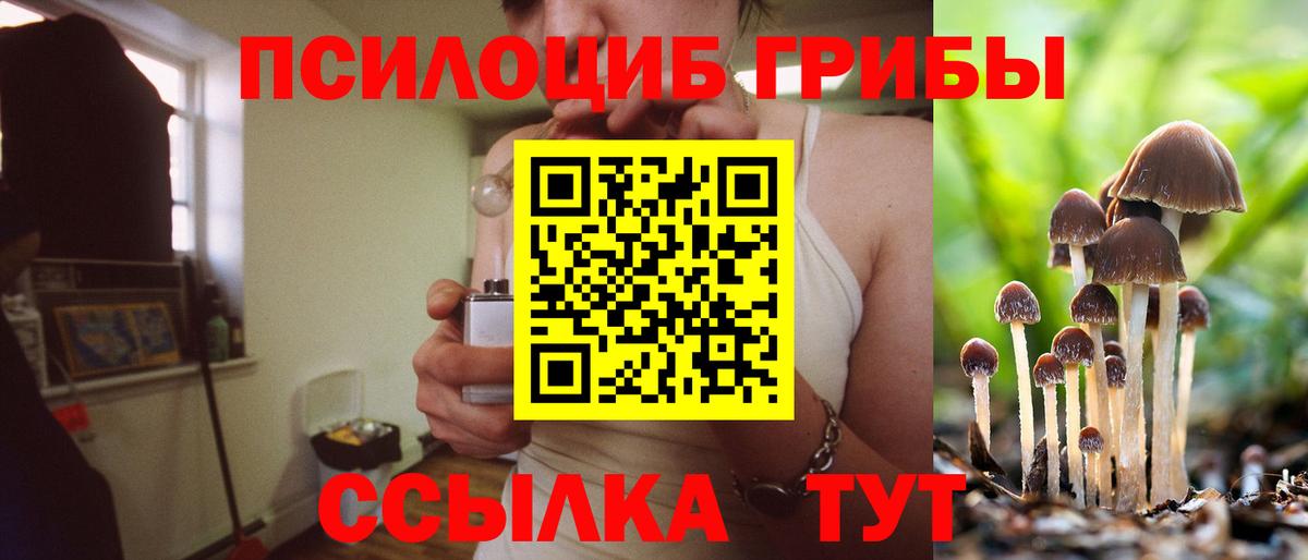 Псилоцибиновые грибы MAGIC MUSHROOMS Зеленокумск