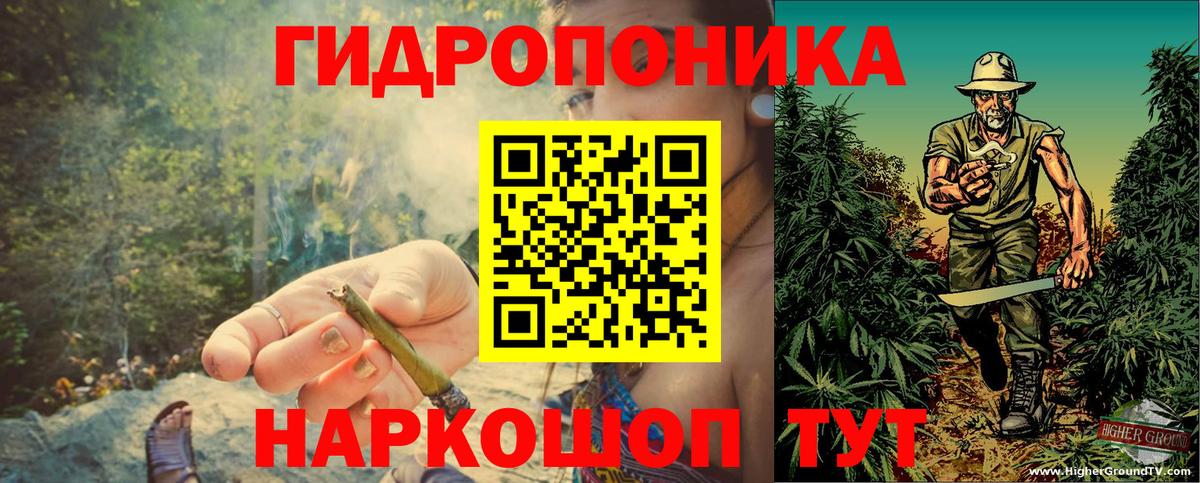 Шишки марихуана конопля Зеленокумск